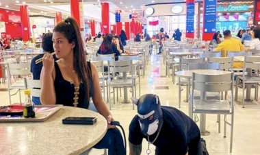 अजीबोगरीब मामला: महिला ने पति को बनाया 'कुत्‍ता', गले में चेन बांधकर स्‍टेशन पर घुमाया….ट्रोल हुई तो देने लगी ये दलील…जानें क्या है मामला?