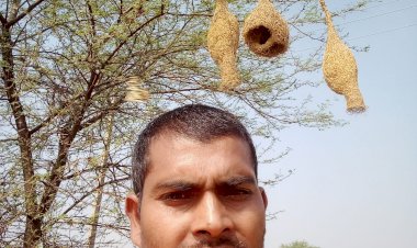 CG:पक्षी हमारी धरती और पर्यावरण का श्रृंगार इनका शिकार होने से रोकिए --किशोर