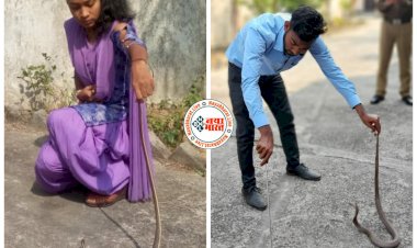 CG VIDEO: जज बंगले में निकला जहरीला सांप.... बंगले में घुस गए 2 सांप.... मचा हड़कंप.... फिर जो हुआ.... देखें पूरा VIDEO......