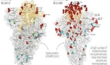नए कोविड वेरिएंट Omicron की पहली तस्‍वीर : जिस ओमीक्रॉन वेरिएंट से दहशत में दुनिया….Delta से कहीं ज्‍यादा भयानक दिख रहा नया कोरोना….इंसान की तरह खुद का रूप बदलने में माहिर…..