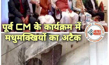 CG Ex-CM के कार्यक्रम में मची अफरा-तफरी: पूर्व मुख्यमंत्री के कार्यक्रम में मधुमक्खियों का हमला.... बिफरीं मधुमक्खियों ने 15 लोगों को काटा.... कराया गया अस्पताल में भर्ती.... फिर हुआ ये......