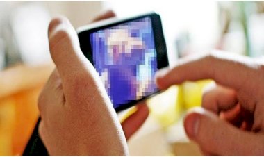 CG महिला पटवारी को भेजा अश्लील वीडियो : कॉलोनाइजर महिला पटवारी को Whatsapp पर भेजने लगा पोर्न वीडियो... मना करने पर भी बार-बार भेजता था अश्लील वीडियो...फिर जो हुआ……जाने पूरा मामला….