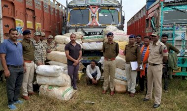 CG 64 लाख का गांजा पकड़ाया: ट्रक में धड़ल्ले से गांजा तस्करी.... 12 क्विंटल से ज्यादा का गांजा जप्त.... अंतरराज्यीय तस्कर UP का आरोपी गिरफ्तार.... गांजा छिपाने का तरीका जान हो जाएंगे हैरान......