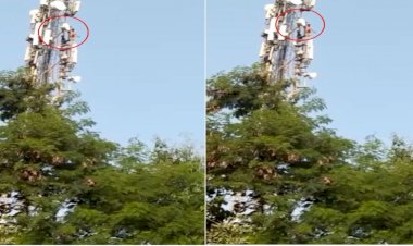 CG VIDEO : शराबी की जिद की 'हाइट'…..पिता से मांगी नई बाईक, मना किया....तो नशे की हालत में 150 फीट ऊपर मोबाइल टावर पर चढ़ गया युवक, बोला-मोला गाड़ी चाही स्पलेंडर…फिर हुआ ये….देखिए हाई-वोल्टेज ड्रामे का खतरनाक VIDEO……
