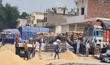 कलेक्टर ने राईसमिलर्स और ट्रांसपोर्टरों के प्रति जताई नराजगी, धान उठाव में तेजी लाने के निर्देश दिए