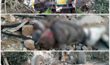 CG- 2 लोगों की दर्दनाक मौत: भीषण सड़क हादसा.... ट्रेलर अनियंत्रित होकर 150 फीट नीचे खाई में गिरा.... ड्राइवर और खलासी की मौके पर ही मौत.....