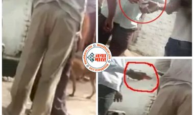 CG- चुनाव के ठीक पहले शराबी दलदल VIDEO: शराब बांटते VIDEO हुआ वायरल.... बंट रही बोतल का लेन-देन कैमरे में कैद.... BJP-कांग्रेस दोनों ने पल्ला झाड़ा.... देखिए VIDEO कैसे बंटती है चुनावी शराब.....