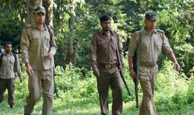 CG जॉब अलर्ट: वन विभाग में 291 पदों पर निकली है भर्ती.... 12वीं पास करें आवेदन.... जल्द करें आवेदन.... सिर्फ 12 दिन है शेष... इतनी मिलेगी सैलरी.... देखिए डिटेल.....
