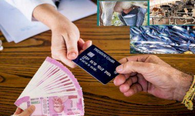 पशुपालन के लिए देशव्यापी किसान क्रेडिट कार्ड अभियान