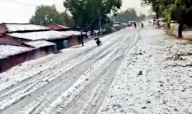 CG VIDEO : CG में जमकर ओले बरसे….इतनी ओलावृष्टि कि सड़क-खेत, घरों पर बिछी बर्फ की चादर…कश्मीर नहीं, ये CG की सड़क है...सड़कों पर बर्फ की चादर की तरह जम गए ओले…शिमला जैसा रहा नजारा, ठंड भी बढ़ी……देखे विडियो…….