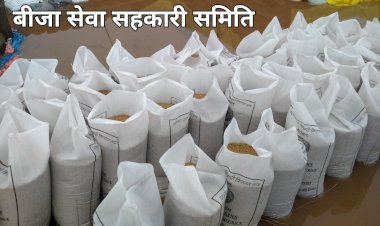 CG BEMETARA:बीजा एवं देवरबीजा सेवा सहकारी समिति में लापरवाही से हज़ारो कट्टा धान बारिश में भीगा....मौसम विभाग की चेतावनी के बाद भी धान खरीदी केन्द्रों में इस तरह की लापरवाही केन्दों के लचर रवैया को प्रदर्शन करता है...बीजा समिति में धान का तौल होने के बाद.सिलाई भी नही किया गया