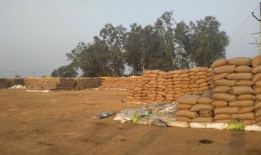 CG BEMETARA:कलेक्टर के मौखिक आदेश पर  देवरबीजा सहित पुरे ज़िलेभर में बंद रहा सोमवार को धान खरीदी की प्रक्रिया, तीन दिनों से खरीदी प्रभावित होने पर किसान हुए परेशान