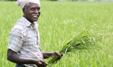 छत्तीसगढ़ सरकार का बड़ा फैसला: कोदो-कुटकी-रागी खरीदी का दायरा बढ़ाया.... पूरे CG में समर्थन मूल्य पर खरीदने का निर्णय.... आदेश जारी.... सहकारी समितियों के माध्यम से होगी खरीदी.......
