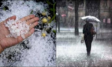CG बारिश-ओलावृष्टि BIG अलर्ट: मौसम विभाग ने जारी किया ऑरेंज अलर्ट.... 18 से ज्यादा जिलों में बारिश और मेघ गर्जन के साथ ओलावृष्टि की संभावना.... 72 घंटो के लिए चेतावनी जारी.... जानिए CG में मौसम का ताजा अपडेट......