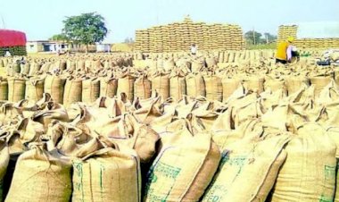 जिले में अब तक दस लाख 10 हजार क्विंटल से अधिक धान की हुई खरीदी,कितने किसानों से कितने का धान खरीदा गया,पढ़े पूरी जानकरी...