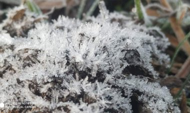 CG में ओलावृष्टि की चेतावनी: इन संभागों में गिर सकते हैं ओले.... अगले 48 घंटे के लिए अलर्ट जारी.... मेघ गर्जन के साथ ओलावृष्टि होने की संभावना.... जानिए कहां कैसा रहेगा मौसम......