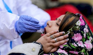 893 लोगों की मौत: कोरोना से मौत का आंकड़ा आज भी डराने वाला.... 24 घंटे में 893 मरीजों ने तोड़ा दम.... देश में पिछले 24 घंटों में कोरोना के 2 लाख 34 हजार से ज्यादा केस दर्ज.... देखें राज्यवार आंकड़े.....