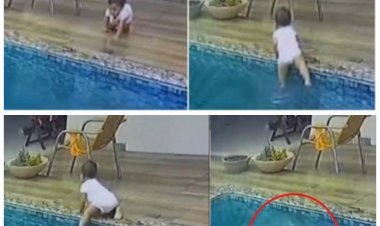 सांसें रोक देने वाला VIDEO: पूल के पास खेल रही थी बच्ची.... एकाएक हुआ कुछ ऐसा.... छोटी बच्ची खेलते-खेलते स्विमिंग पूल में जा गिरी.... फिर जो हुआ.... देखें रोंगटे खड़े कर देने वाला VIDEO......