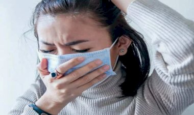 ओमिक्रॉन की ‘बहन’ है न्यू सब-वेरिएंट बीए.2.... ओमीक्रोन का ही दूसरा रूप BA.2 तेजी से पकड़ रहा रफ्तार.... एक्सपर्ट से जानिए इसके पूरे ‘खानदान’ के बारे में.... जानिए कितने टेंशन की है बात.....