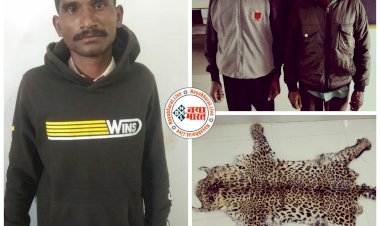 CG: 14 लाख रुपए की खाल लेकर बेचने निकले थे.... कर रहे थे ग्राहक की तलाश.... पुलिस ने घेराबंदी कर 3 तस्करों को दबोचा.... लाखों के चक्कर में पहुंचे हवालात.... वन्य प्राणी तेंदुआ खाल की तस्करी करते हुए 3 आरोपी गिरफ्तार......