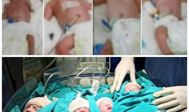 अनूठा मामला: महिला ने एक साथ 4 बच्चों को दिया जन्म.... 10 साल तक गोद रही सूनी.... अब महिला ने एक साथ 4 बच्चों को दिया जन्म.... समय से पहले पैदा होने पर भी है स्वस्थ......