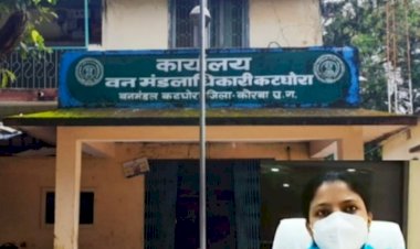 कटघोरा वनमंडल में विकास कार्य का ग्राफ नीचे- भ्रष्ट्राचार का ऊपर: कार्रवाई के अभाव में डीएफओ से लेकर मातहत अधिकारी- कर्मचारी दीमक की तरह चट कर रहे करोड़ो की राशि, शासन की छवि पर लग रहा गहरा दाग पढ़े पूरी खबर