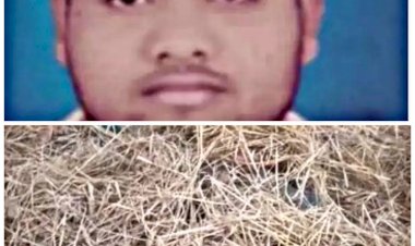 CG- इंजीनियर की धारदार हथियार से हत्या: घर से निकले इंजीनियर की खून से लथपथ खेत में मिली लाश.... लहुलूहान लाश मिलने से इलाके में सनसनी.... कल दोपहर निकला था घर से.... जांच में जुटी पुलिस......