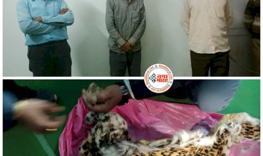 CG- तेंदुए की खाल बरामद: लग्जरी कार में बैठकर आए थे तस्कर.... पुलिस ने रोका तो 2 भाग गए.... मगर 3 दबोच लिए गए.... 4 लाख की तेंदुए की खाल भी बरामद......