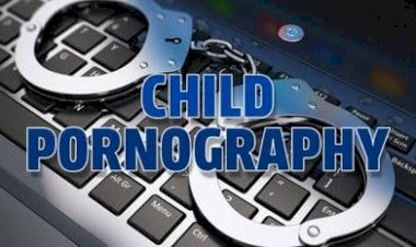 CG ब्रेकिंग: चाइल्ड पोर्नोग्रॉफी शेयर करने वाले के खिलाफ पुलिस की कार्यवाही.... बच्चे के हाथ में था मोबाइल.... Instagram पर पोस्ट किया चाइल्ड पोर्नोग्रॉफी VIDEO.... फिर हुआ ये.....