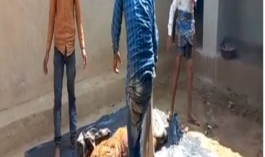 कलयुगी सनकी बेटे ने अपने ही माता-पिता को मारकर उतारा मौत के घाट शव को दफनाया घर में। ऐसे हुआ डबल मर्डर का खुलासा।