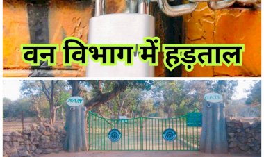 CG हड़ताल BREAKING: 21 से वनकर्मचारी संघ का प्रदेश भर में हड़ताल.... नंदनवन, जंगल सफारी भी रहेंगे बंद.... विभागीय कार्य होंगे ठप.... अभ्यारण, नाका समेत ये होंगे प्रभावित......