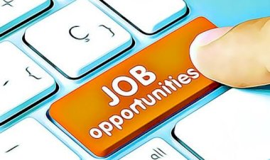 Finance Ministry Recruitment 2022: वित्त मंत्रालय में नौकरी पाने का अच्छा मौका.... 590 पदों पर भर्ती.... बिना एग्जाम होगा चयन.... आवेदन करने के बचे हैं चंद दिन.... देखिए डिटेल.......
