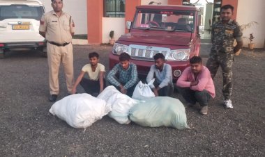 बोलेरो कार में 80 कि.ग्रा. मादक पदार्थ गांजा कीमती 16,00,000रुपयें की तस्करी करते 04 आरोपी गिरफतार पढ़े पूरी खबर