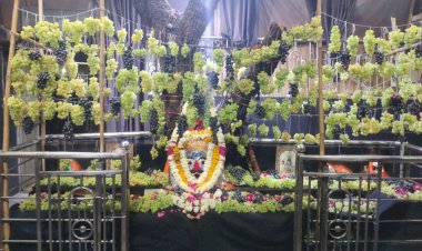 रसीले अंगूरों से श्री मसाणिया भैरुनाथ की विशेष झांकी सजाई