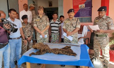 CG ब्रेकिंग: तस्कर खोज रहा था ग्राहक.... चढ़ा पुलिस के हत्थे.... लाखों रुपए की तेंदुआ खाल बरामद.... 6 महीने पहले ऐसे मारा था तेंदुआ.... आरोपी गिरफ्तार.....