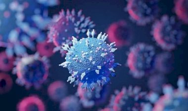 केंद्र का अलर्ट: चीन में कोरोना का 2 साल का रिकॉर्ड टूटा.... जर्मनी, इटली, फ्रांस में बढ़ने लगे केस.... क्या भारत में आएगी चौथी लहर?.... केंद्र ने राज्यों को लिखा पत्र.... दिए ये जरूरी निर्देश.....