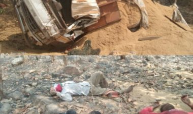 CG सड़क हादसा : भूसा गाड़ी पलटने से एक मजदूर की मौत...ड्राइवर सहित चार लोग घायल