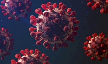 COVID New Variant News: कोरोना का मिला नया स्ट्रेन.... कोरोना के नए वैरिएंट की दस्तक.... WHO ने जताई चिंता.... कहा, 'Omicron से 10 फीसदी ज्यादा संक्रामक'.....