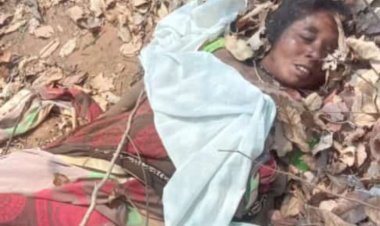 CG- हाथी के हमले से दो की मौत: जंगल में लकड़ी लेने गये थे.... जंगली हाथी ने कुचलकर मार डाला.... ग्रामीणों में दहशत का माहौल.... मौके पर पहुंचे वन विभाग के अफसर बोले ये.....