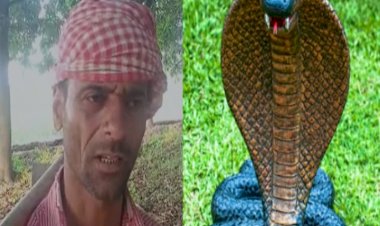 NBL. Snake Bite News: नागिन ने नाग की हत्या का बदला लेने के लिए एक शख्स को 7 बार डसा पर वो हर बार.. पढ़े जरूर.