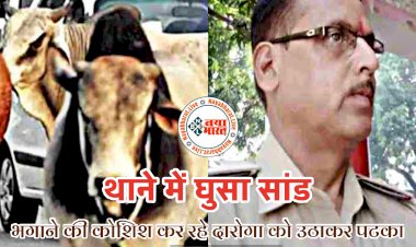 दारोगा को सांड ने उठाकर पटका: थाने में घुसा सांड... फिर मचा बवाल... दारोगा पर कर दिया हमला... अस्पताल में भर्ती... फिर जो हुआ वह हैरान करने वाला.....