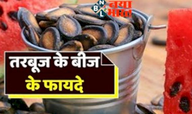 Watermelon Seeds Benefits: तरबूज के बीज को फेकने से पहले जान ले ये 3 फायदे.