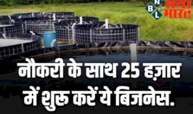 Free Business Ideas : नौकरी के साथ 25 हज़ार में शुरू करे ये बिजनेस ! सरकार देती है इस बिजनेस के लिए सब्सिडी….