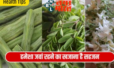Health Tips : सेहत के खजाने की कुंजी हैं, ये जड़ी बूटि हमेशा जवां रहने का खजाना है सहजन, जानिए क्यों कहा गया है अमृत सम….