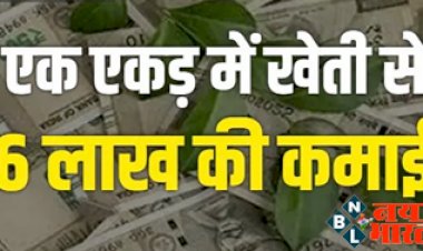 Business Ideas : 6 लाख रूपए महीने तक की कमाई ! सिर्फ एक एकड़ में खेती से, शुरू करें जल्द यह बिजनेस.