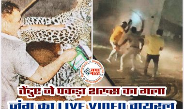 Leopard Attack LIVE VIDEO: तेंदुए ने पुलिसवालों पर किया Attack.... उछल-उछलकर पुलिसकर्मियों को मारे पंजे.... मुंह पर मारे कई पंजे.... लटक गया गर्दन पकड़कर.... देखें तेंदुए के हमले का रोंगटे खड़े कर देने वाला वीडियो.....