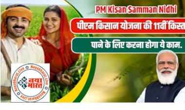 PM Kisan Yojana : इन 5 कारणों से पीएम किसान की 11वीं किस्त मिलने में हो रही देरी, पाने के लिए करना होगा ये कम….