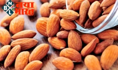 Almonds Health Benefits: बादाम सूखे खाने चाहिए या भिगोकर? जानिए कौन सा बादाम सेहत के लिए अधिक फायदेमंद….