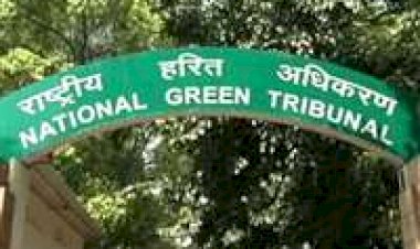 बलौदाबाजार छ.ग: बारनवापारा अभ्यारण्य में सोना के सर्वेक्षण की अनुमति पर नेशनल ग्रीन ट्रिब्यूनल (एनजीटी) ने रिपोर्ट तलब की है.