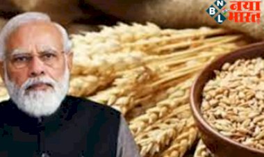Wheat Export Ban: भारत ने गेहूं निर्यात पर लगाया प्रतिबंध, जानिए सरकार ने क्यों किया ये ऐलान.